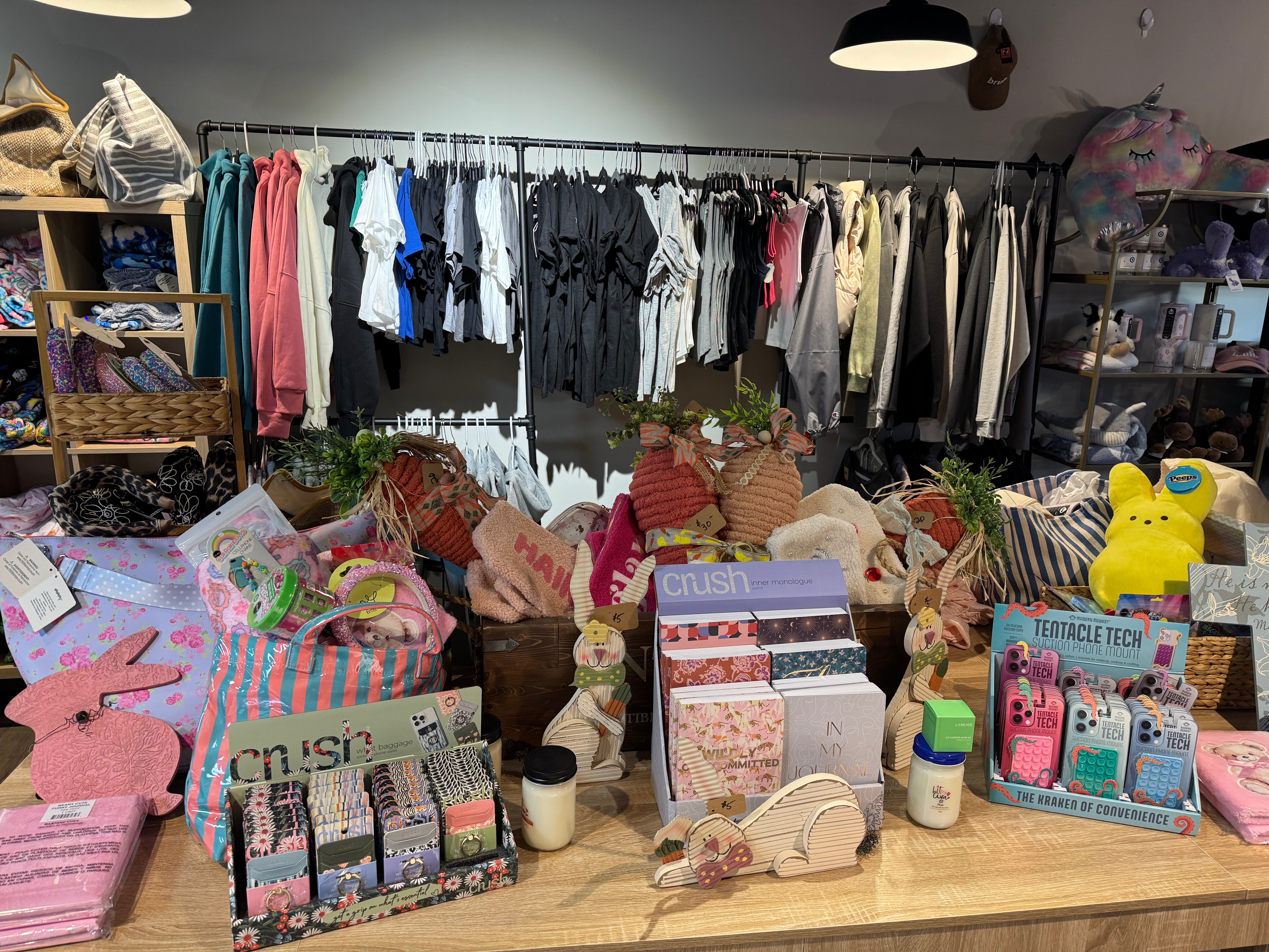 Store interior with clothing racks and various products on display.